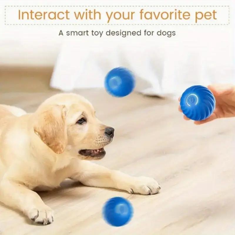 Blue And Orange Pet Bouncing Ball Fun Pet Bouncing Ball For Cats And Dogs