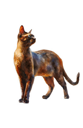 Cat Collections Wooden Puzzle - EBS PLATFORM INC.