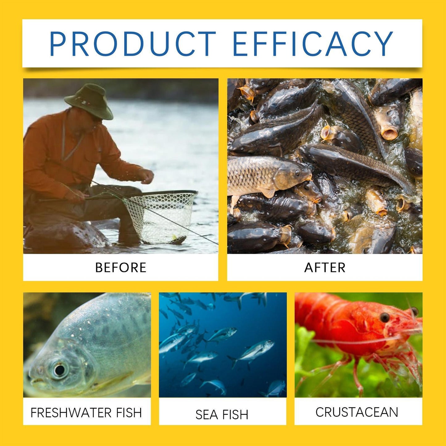 Yegebang Red Worm Bait Fish Feed Nutrition Wild Fishing Attractant