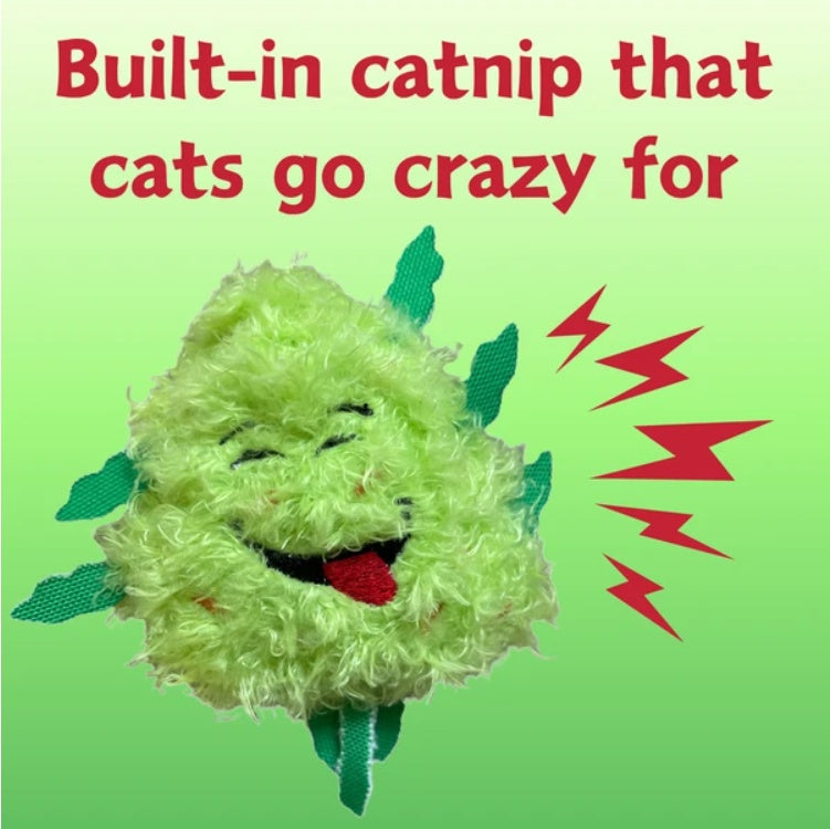 My Name Is Bud Jr, Funny Catnip Weed Nug Cat Toy, Cute Stuffed Parody Pot Nug, Cool Plush 420 Novelty Gift For Cats, Kittens & Their Owners, For Play A Photo Prop