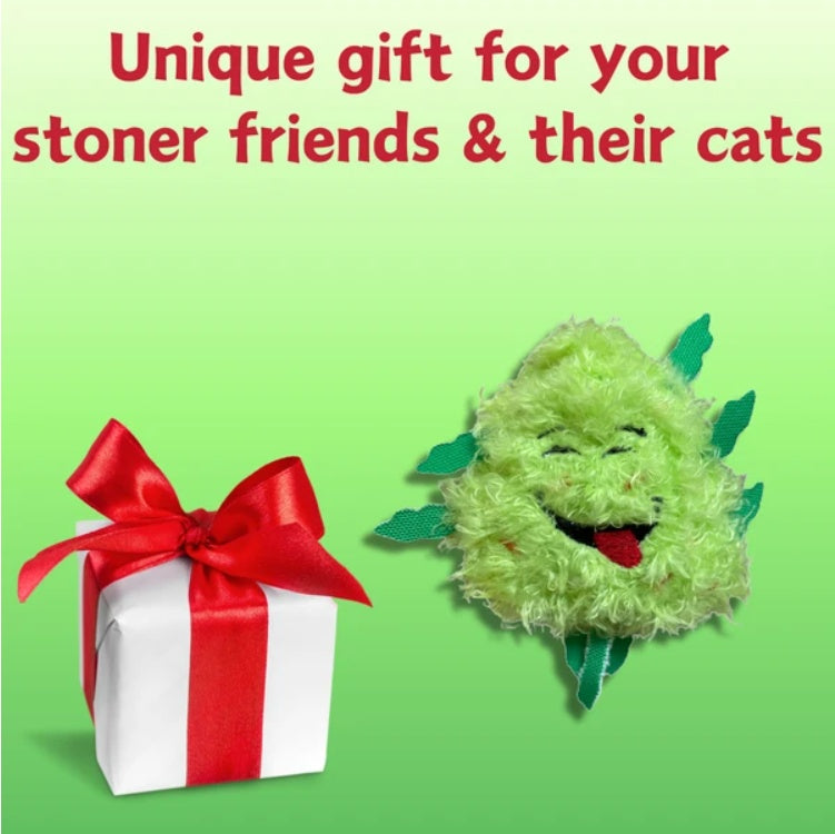 My Name Is Bud Jr, Funny Catnip Weed Nug Cat Toy, Cute Stuffed Parody Pot Nug, Cool Plush 420 Novelty Gift For Cats, Kittens & Their Owners, For Play A Photo Prop