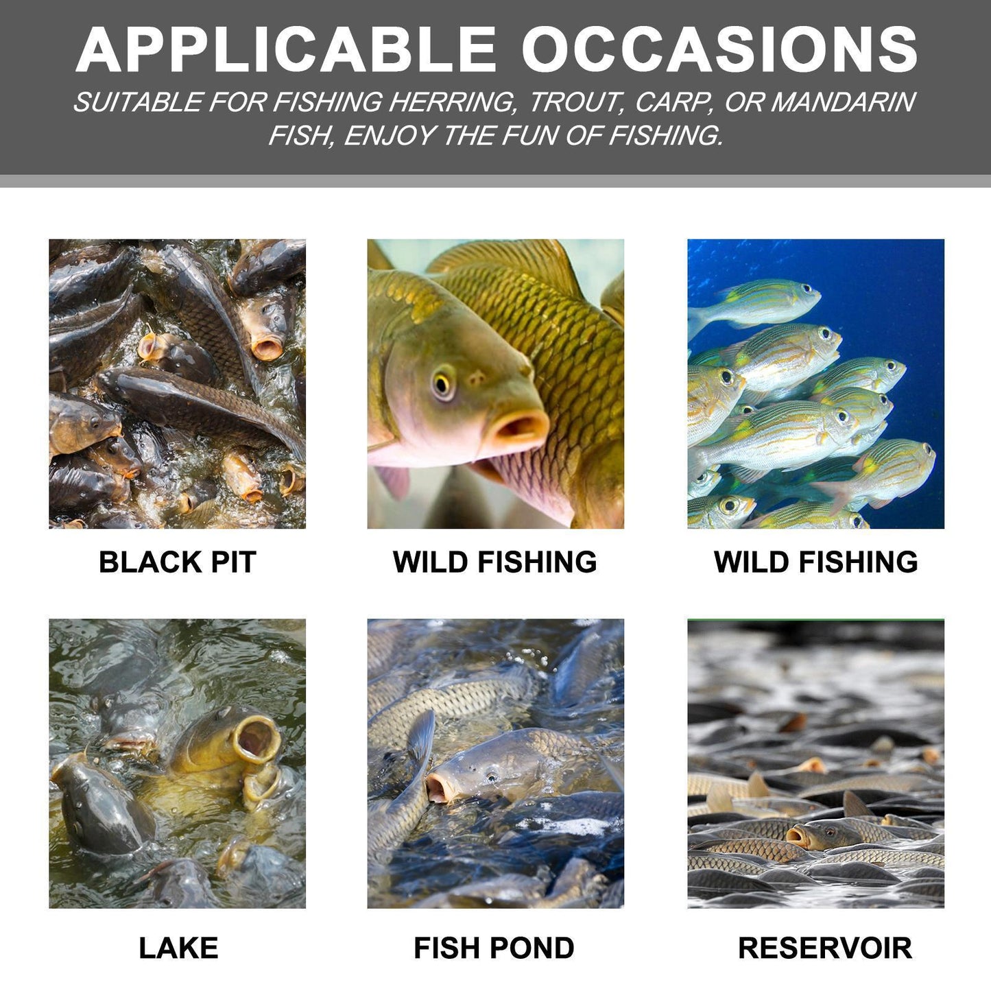 Yebang Corn Fish Bait, Portable Fish Bait For Reservoir Fishing