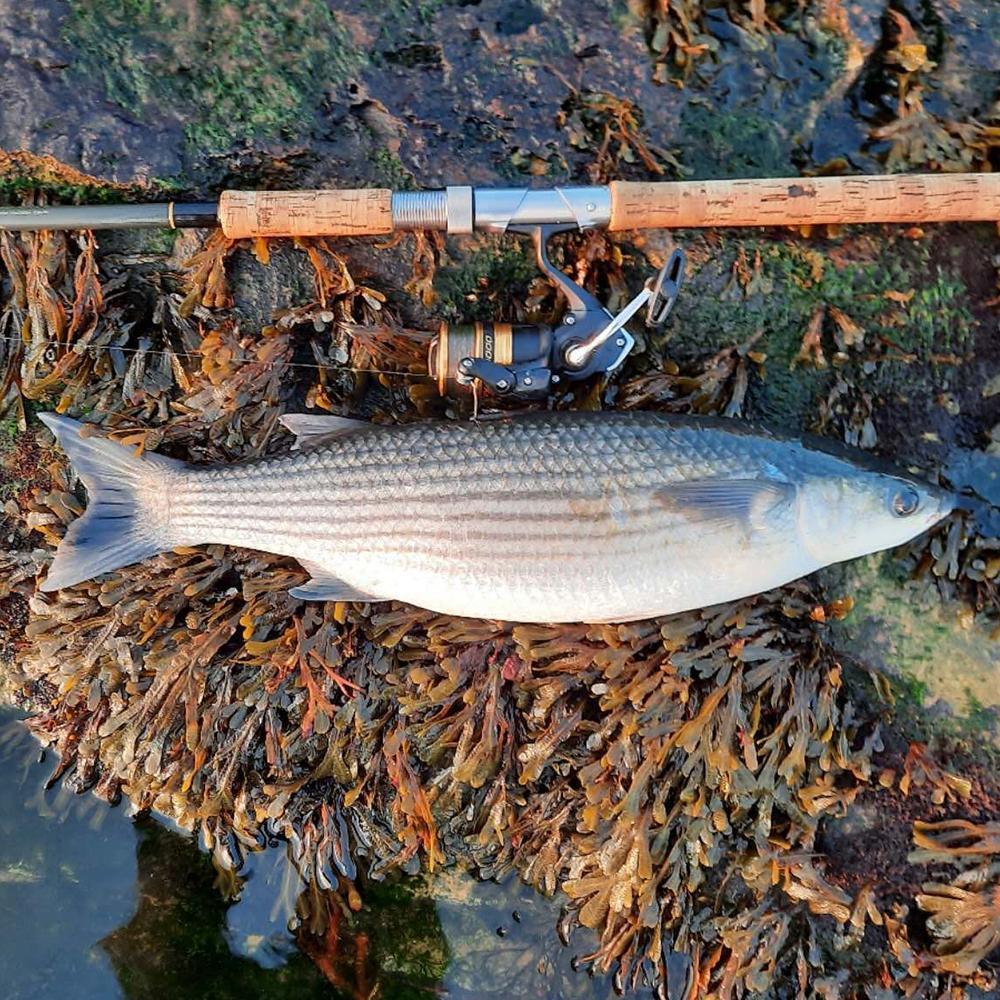 5-piece Set 13g 10cm Top Pencil Spinning Tail Hard Bait Freshwater Sea Bass Trout Lure