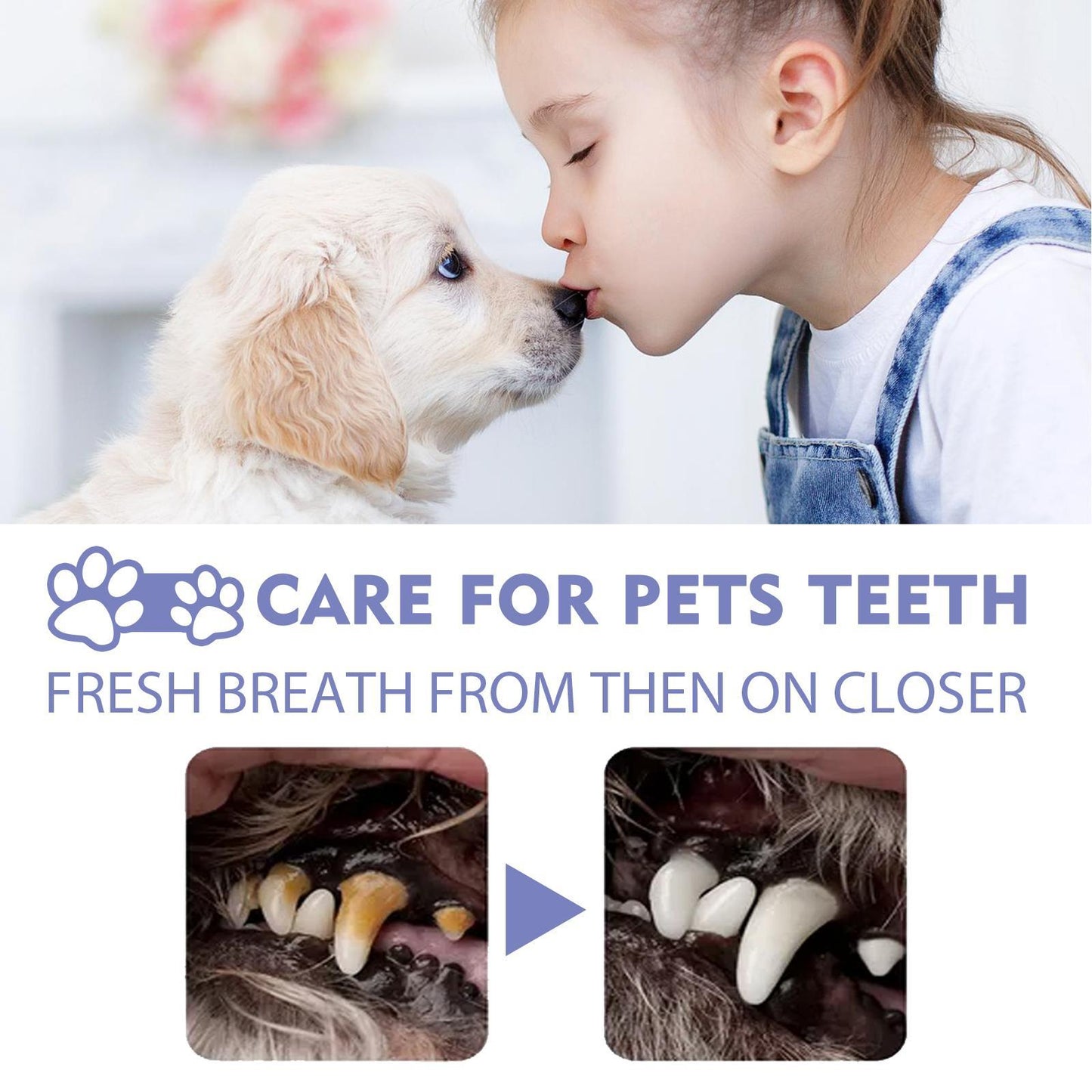 Yegebang Cat And Dog Teeth Cleaning Spray Pet Oral Cleaning Deodorizing Fresh Breath