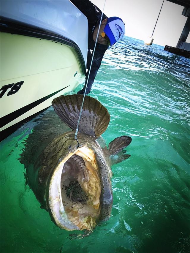 5-piece Set 13g 10cm Top Pencil Spinning Tail Hard Bait Freshwater Sea Bass Trout Lure