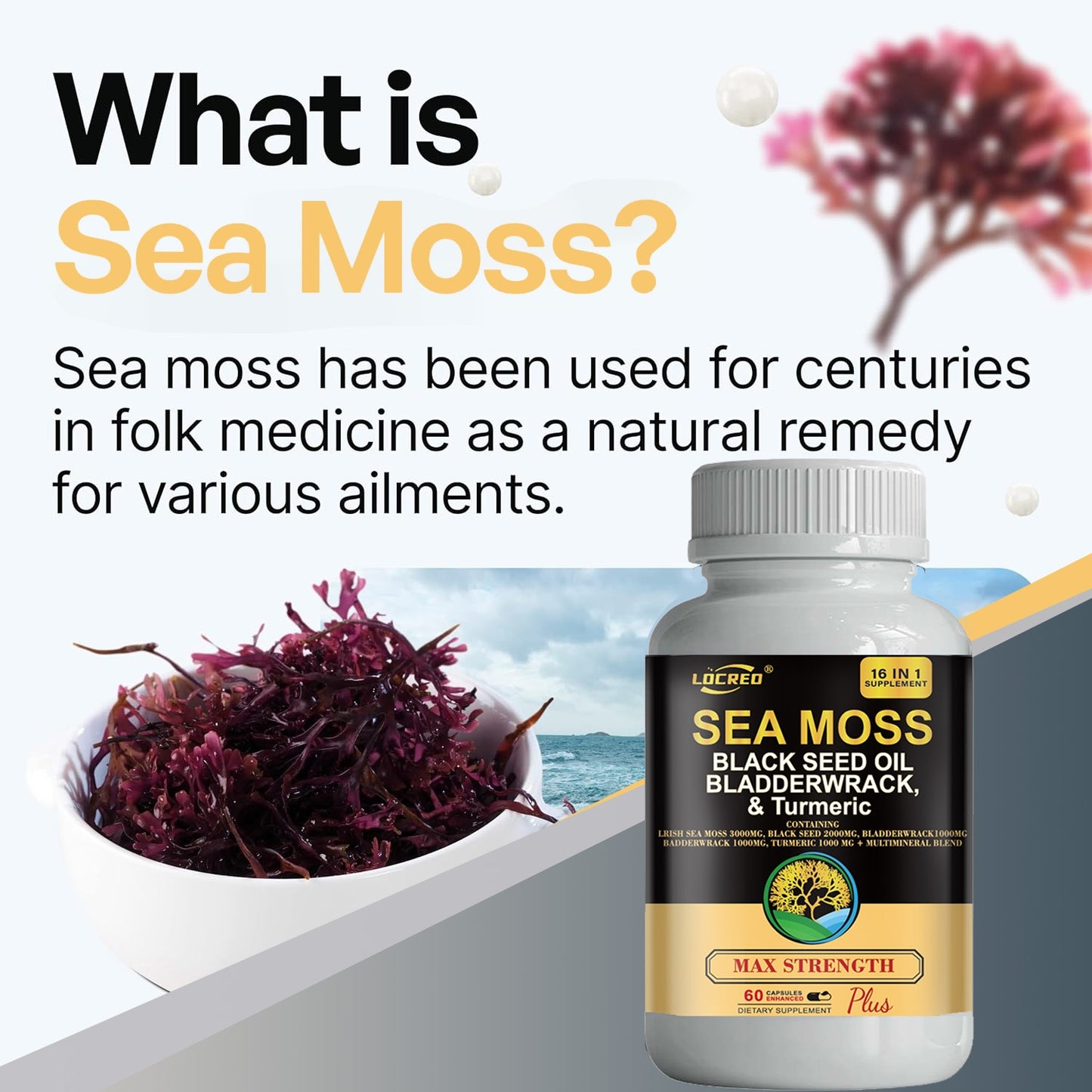 Black Seed Oil Bladder Wrack Turmeric 16-in-1 Supplements Joint Support Sea Moss Capsule